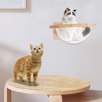 Wooden Cat Hammock, Clear Space Capsule Cat Bed, Wall-Mounted Kitten Walls Shelves Kitty Beds Small