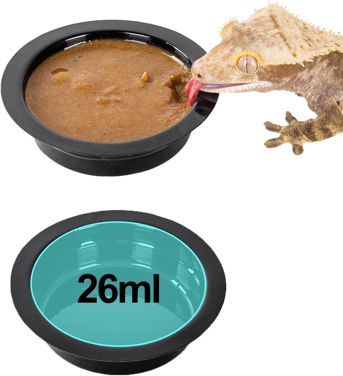 WACOOL Magnetic Reptile Ledge, Acrylic Gecko Feeding Ledge with 6PCS Cups, Reptile Food Water