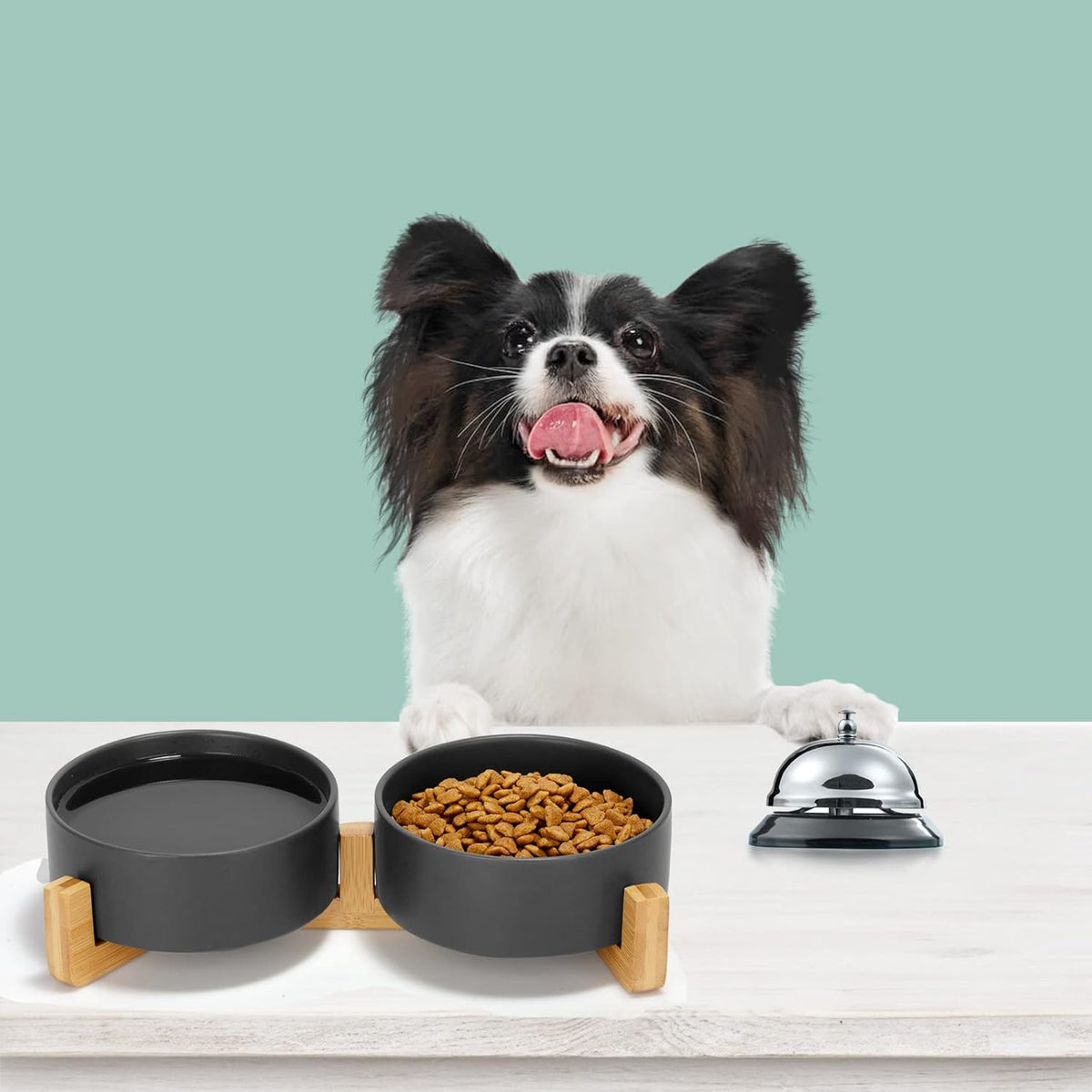 SPUNKYJUNKY Ceramic Dog and Cat Bowl Set with Wooden Stand, Modern Cute Weighted Food Water Set for