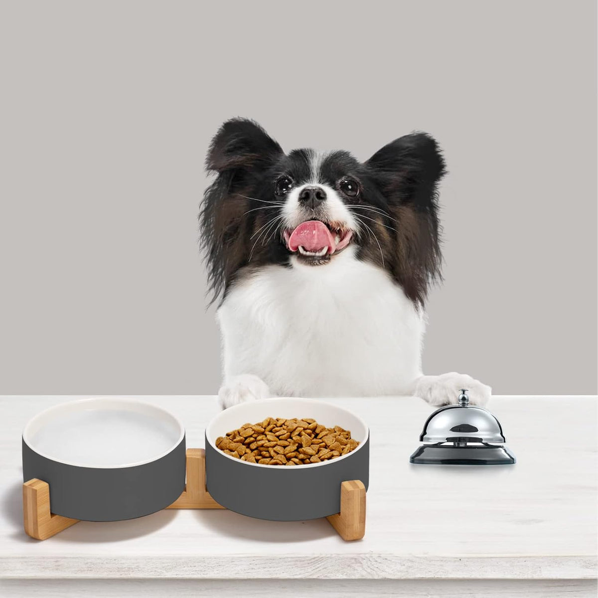 SPUNKYJUNKY Ceramic Dog and Cat Bowl Set with Wooden Stand, Modern Cute Weighted Food Water Set for