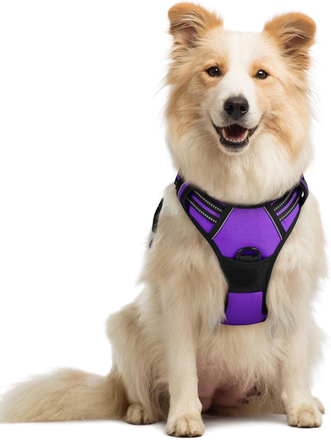rabbitgoo Dog Harness No Pull with 2 Leash Clips, Adjustable Soft Padded, Reflective Oxford No