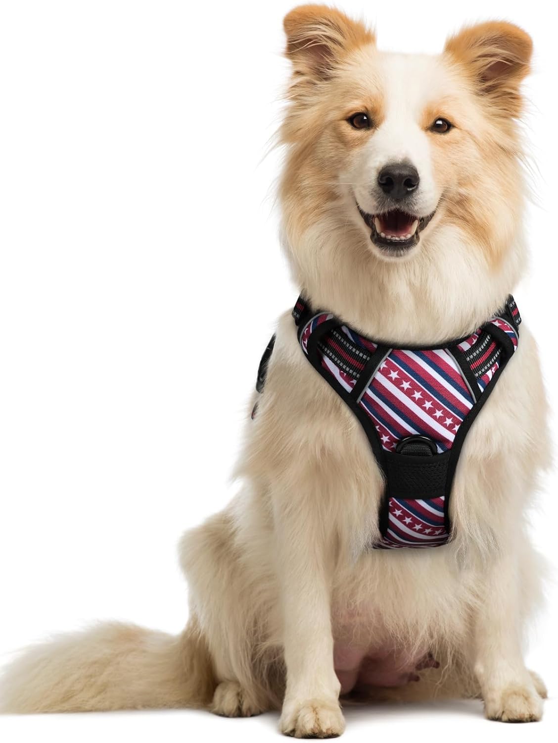 rabbitgoo Dog Harness No Pull with 2 Leash Clips, Adjustable Soft Padded, Reflective Oxford No