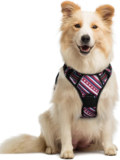 rabbitgoo Dog Harness No Pull with 2 Leash Clips, Adjustable Soft Padded, Reflective Oxford No