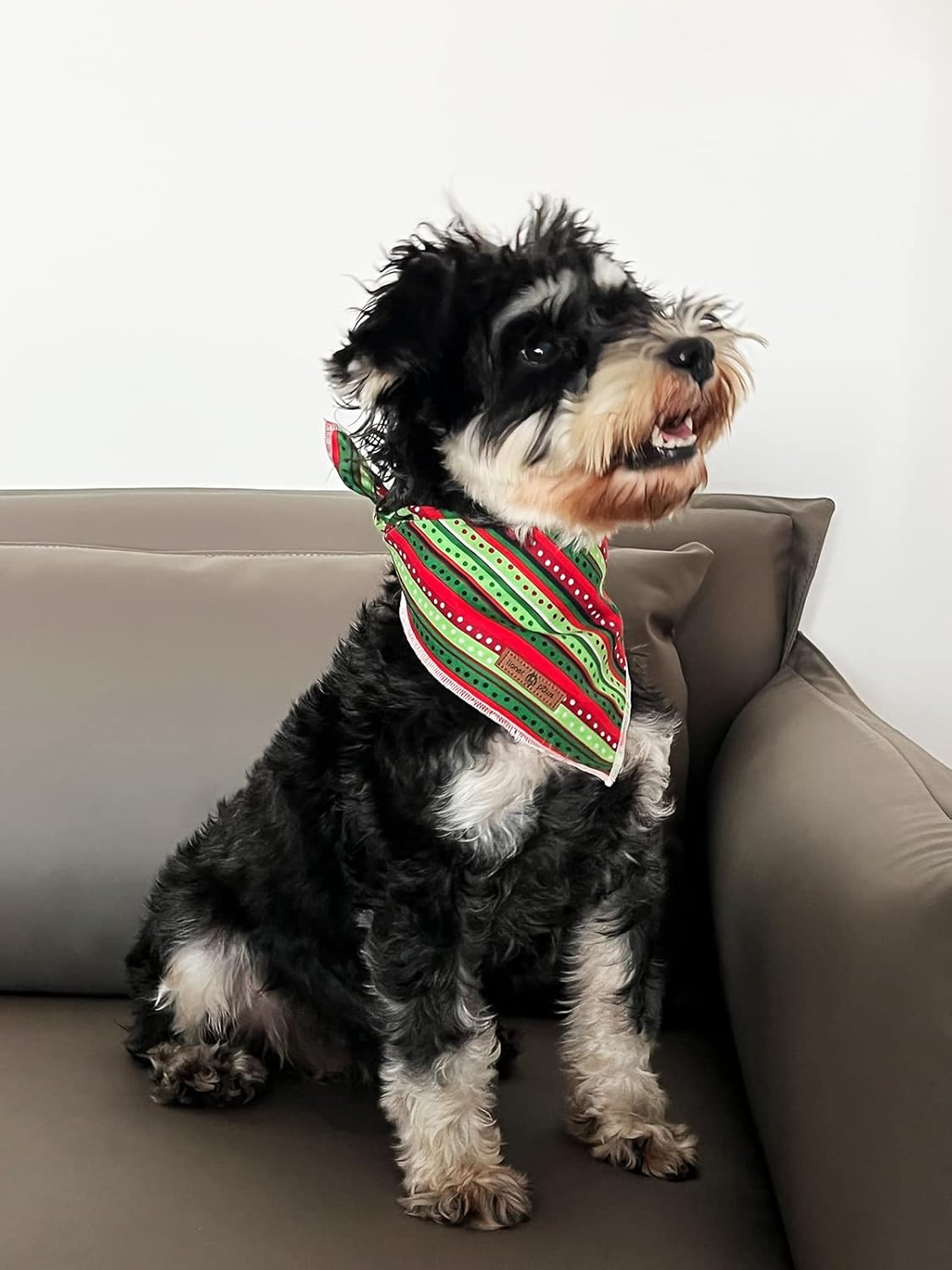 lionet paws Christmas Dog Bandana,Fabric Dogs Kerchief for Small Medium Large Dogs,Dog Cotton