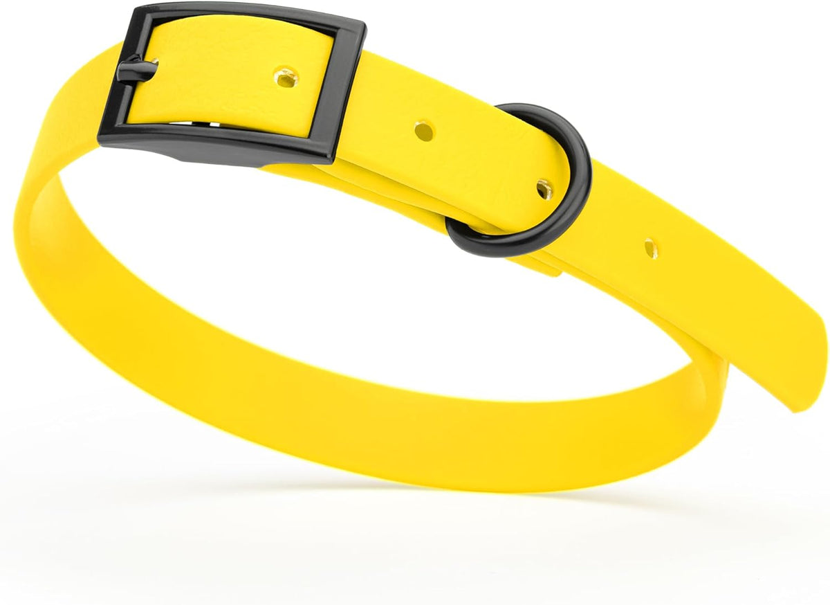 Dogline Biothane Waterproof Dog Collar Strong Coated Nylon Webbing with Black Hardware Odor- Proof