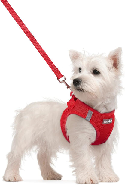rabbitgoo Dog Harness Small Sized and Leash Set, Step in Soft Light Puppy Vest, Breathable Mesh Pet