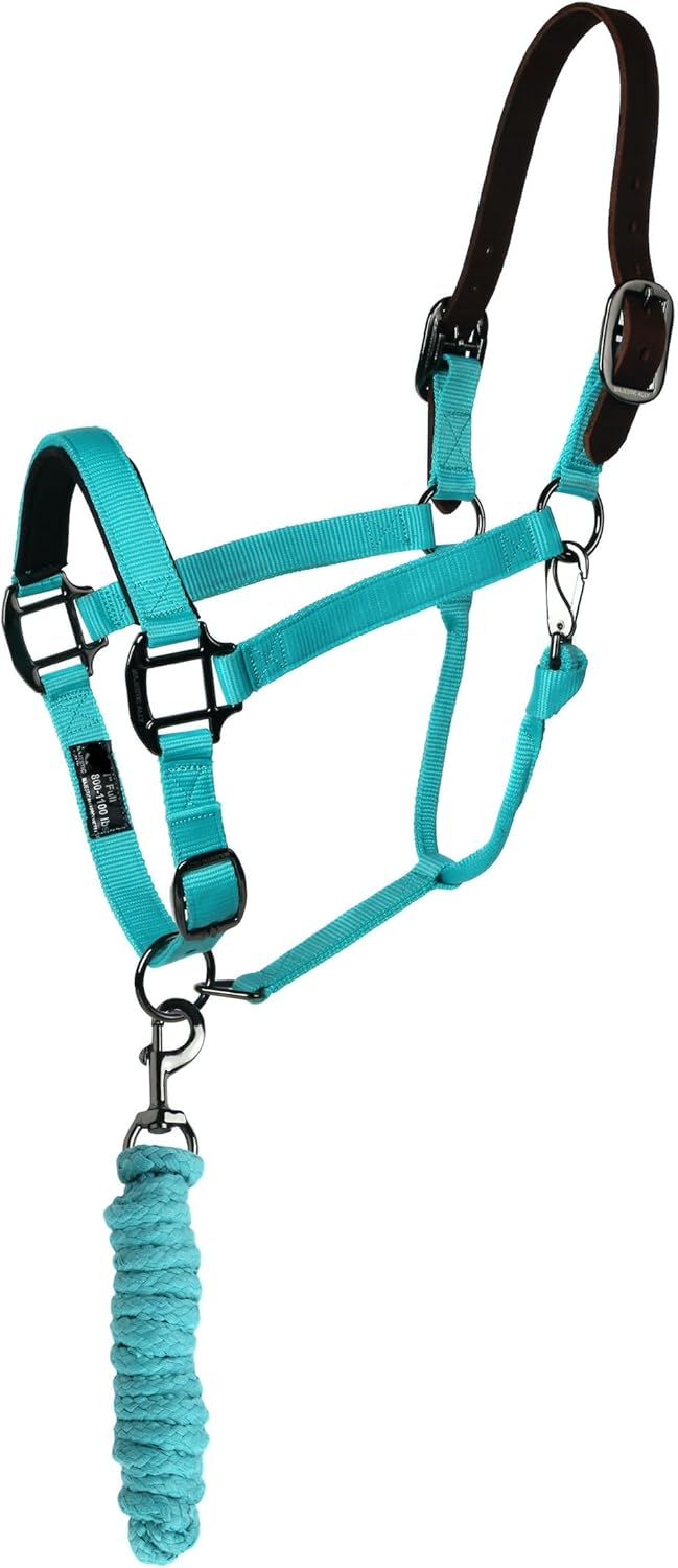 Majestic Ally Leather Halter with Matching Lead Rope for Horses – Leather Breakaway Crown