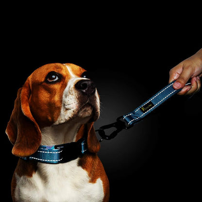 PLUTUS PET 10” Short Dog Leash, Reflective Nylon Padded Handle, Strong Traffic Leash with Carabiner