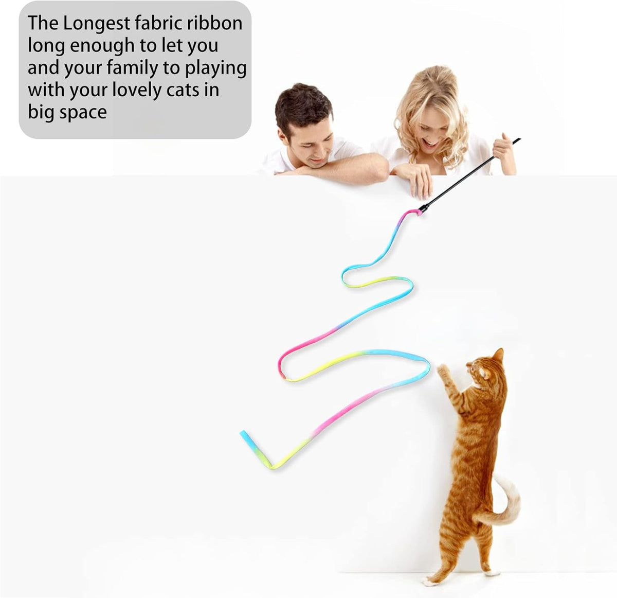 Cat Wand Toys Interactive Kitten Toys for Indoor Cats Colorful Teaser Wand String for Exercise