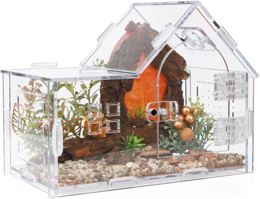 Acrylic Jumping Spider Enclosure - Versatile Reptile Enclosure with One-Click Magnetic Closure
