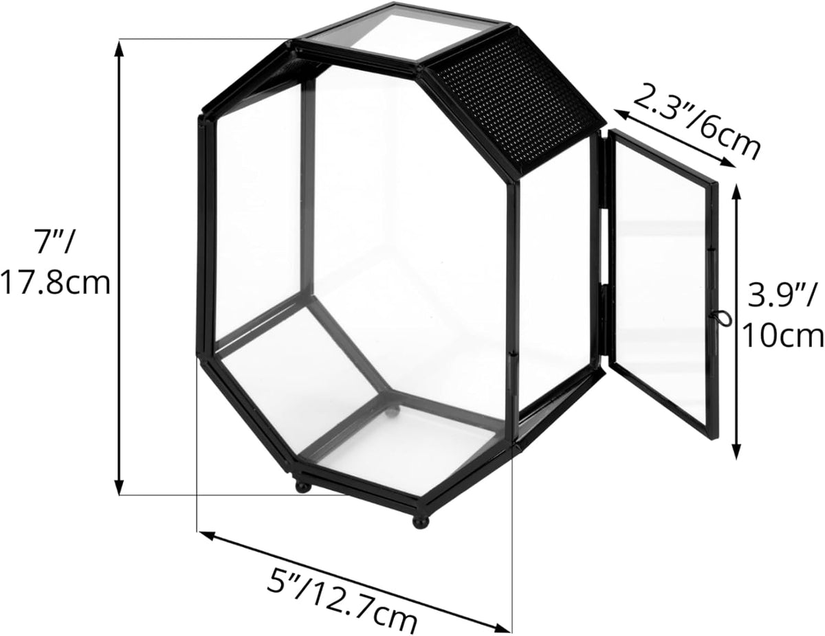 NCYP Mini Glass Terrarium with Vent and Door for Succulents Plants, Jumping Spiders, Insect