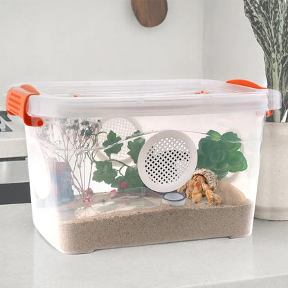 Reptile Feeding Box Snake Plastic Transparent Breeding Box Hatching Container for Small Reptile