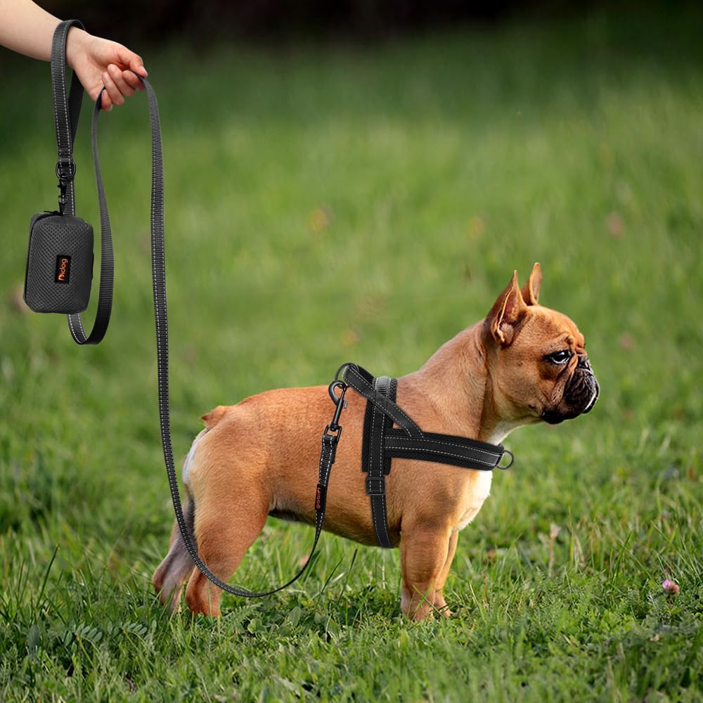 Didog No Pull Dog Harness with Soft Mesh Padded,Reflective & Quick Fit Light Weight Dog Strap Vest