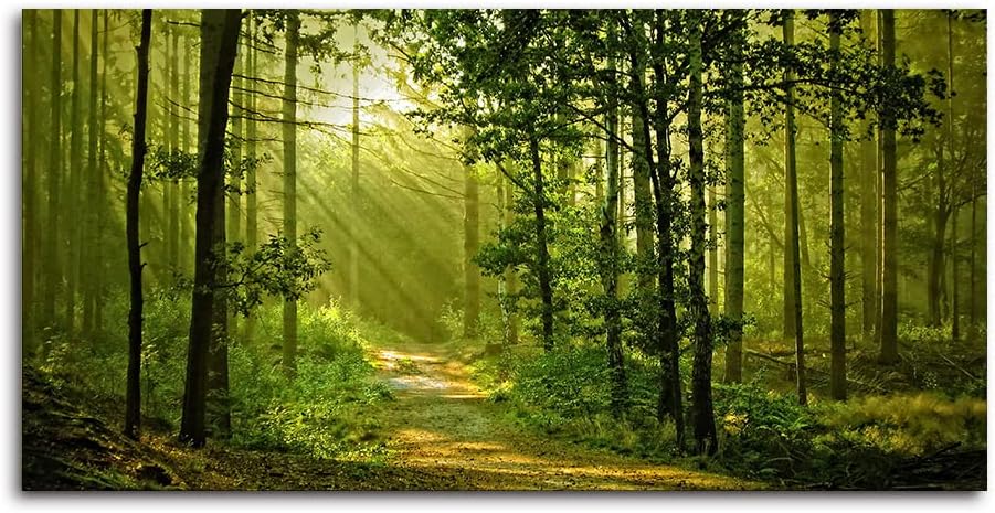 Green Morning Sunlight Forest Scenery Canvas Wall Art for Bedroom Home,Beautiful Silent Summer