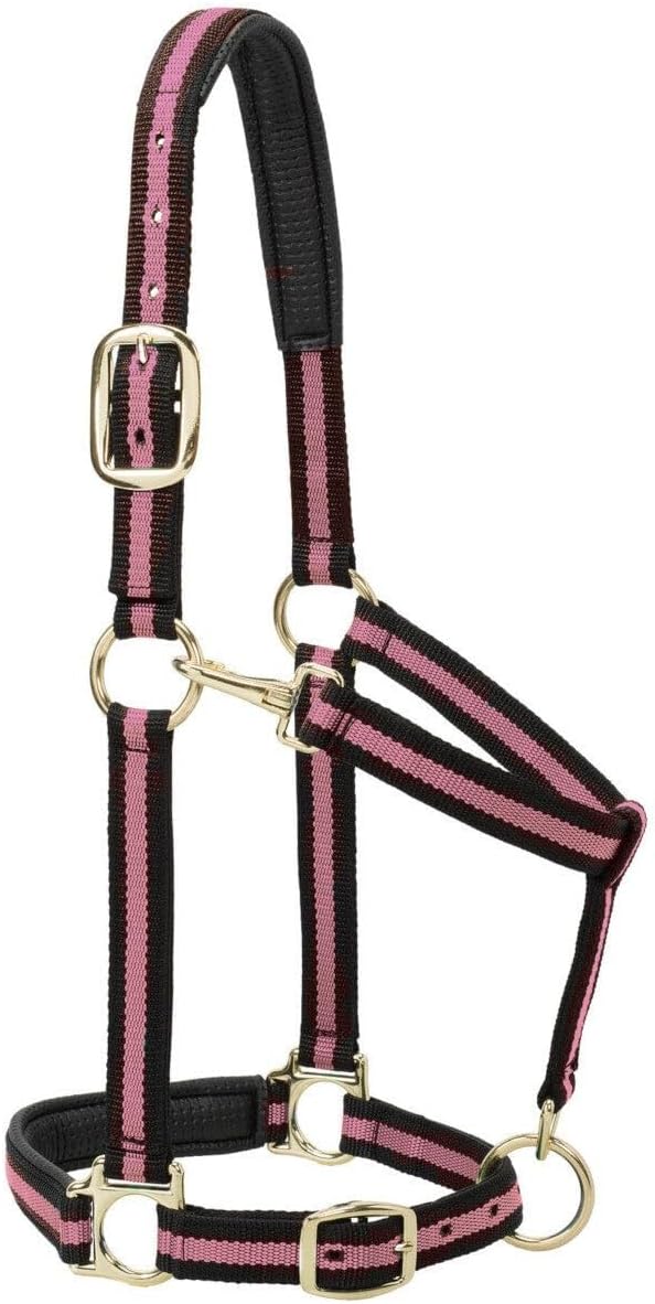 Weaver Leather Nylon Horse Halter, Padded and Adjustable, Chin and Throat Snap Hook Halters for