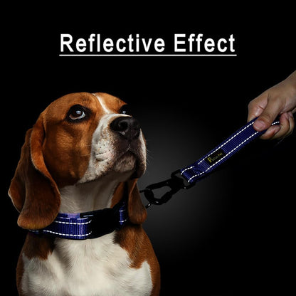 PLUTUS PET Short Dog Leash, Reflective Nylon Padded Handle, Strong Traffic Leash with Carabiner