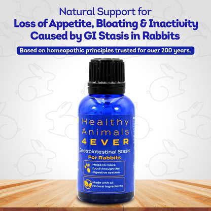 HA4E - Rabbit Gastrointestinal Stasis Treatment - Promotes Healthy Digestion & GI Stasis Relief
