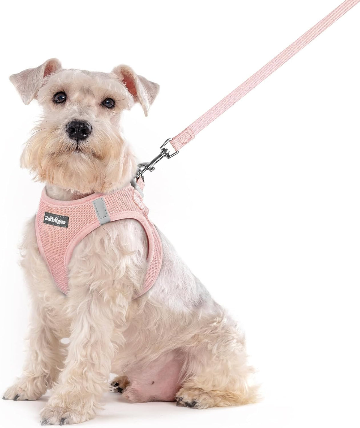 rabbitgoo Dog Harness Small Sized and Leash Set, Step in Soft Light Puppy Vest, Breathable Mesh Pet