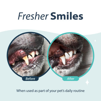 Dental Fresh Water Additive for Dogs, Original Formula, 17oz – Dog Breath Freshener and Teeth