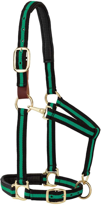 Weaver Equine Breakaway Horse Halter, Comfort Foam Padding, Adjustable Chin & Throat Snap Halters