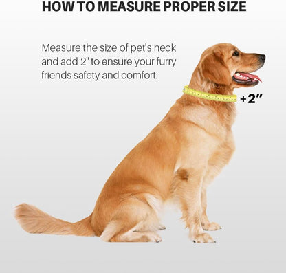 Hyhug Martingale Dog Collar Without Buckle: Escape-Proof, No Slip Heavy Duty Nylon, Colorfast