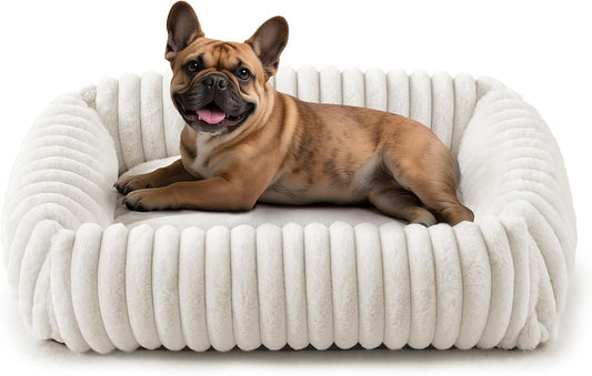 Dog Beds Medium Sized Dog, Washable Orthopedic Pet Bed with Removable Cover, Rectangle Soft Calming