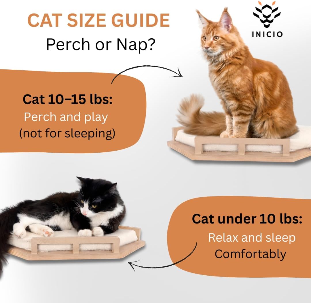 INICIO Cat Wall Shelves - Modern and Durable 3 Step Cat Furniture for Wall - Stylish Birch Floating