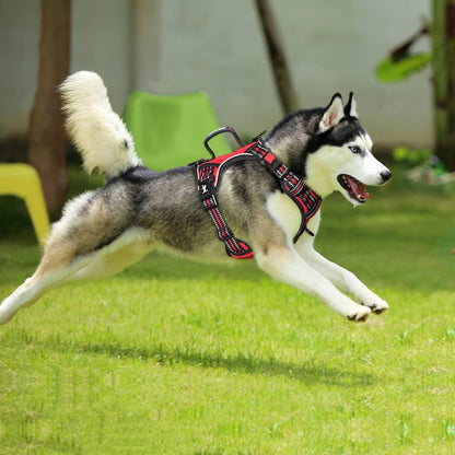 PoyPet No Pull Dog Harness, No Choke Front Clip Reflective Dog Vest with Soft Padded Vertical