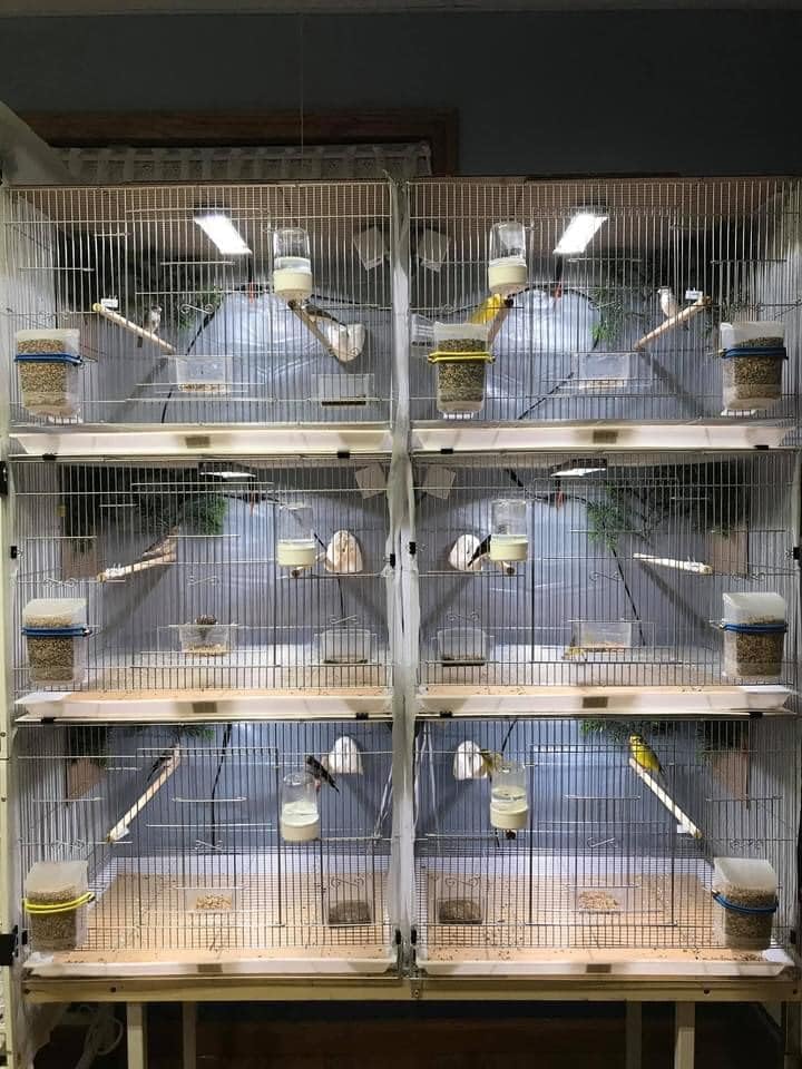 HappyBird Lightning (A Divison of M&M Cage) 24" LED linkable Light bar Without Power Source for
