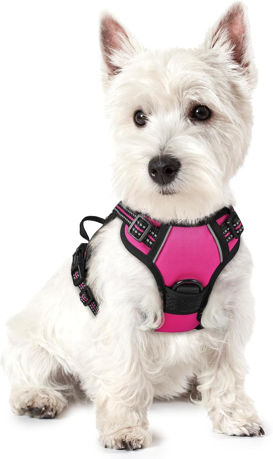 rabbitgoo Dog Harness No Pull with 2 Leash Clips, Adjustable Soft Padded, Reflective Oxford No