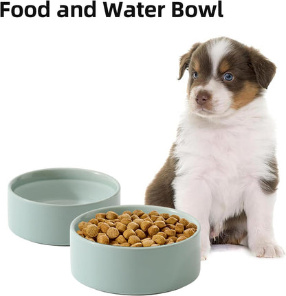 Ceramic Set of 2 Dog Bowls, Food and Water Bowls for Dogs, Puppy, 2pcs Dog Dishes, Pet