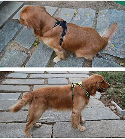 Truelove No Pull Dog Harness with Easy Control Handle and 2 Leash Attachments,Reflective Adjustable