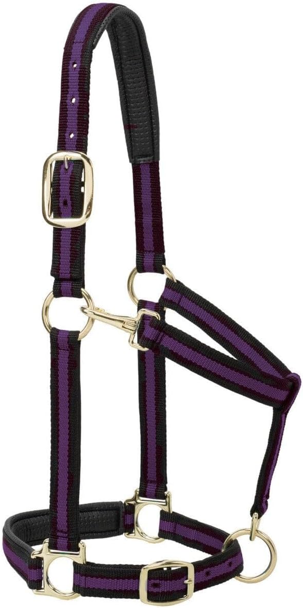 Weaver Leather Nylon Horse Halter, Padded and Adjustable, Chin and Throat Snap Hook Halters for