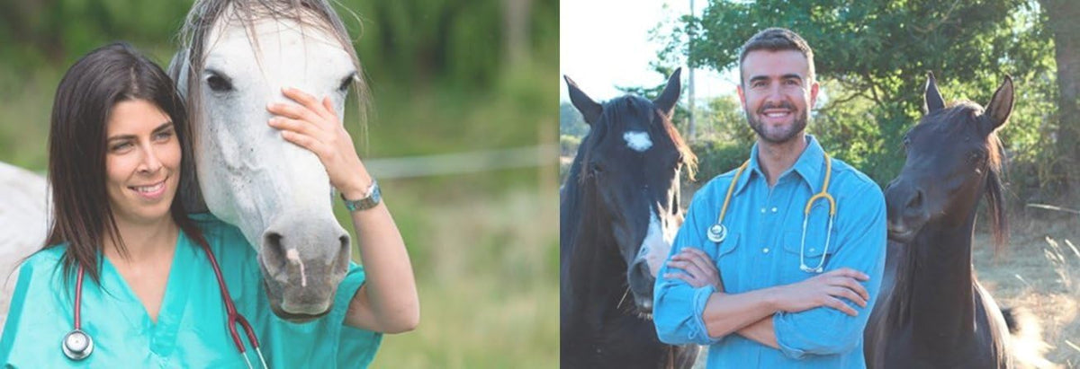 Horse Treats, Original Flavor, A Softer Cookie/Pill Popper Made w/Lite Molasses, Low Carb/Sugar
