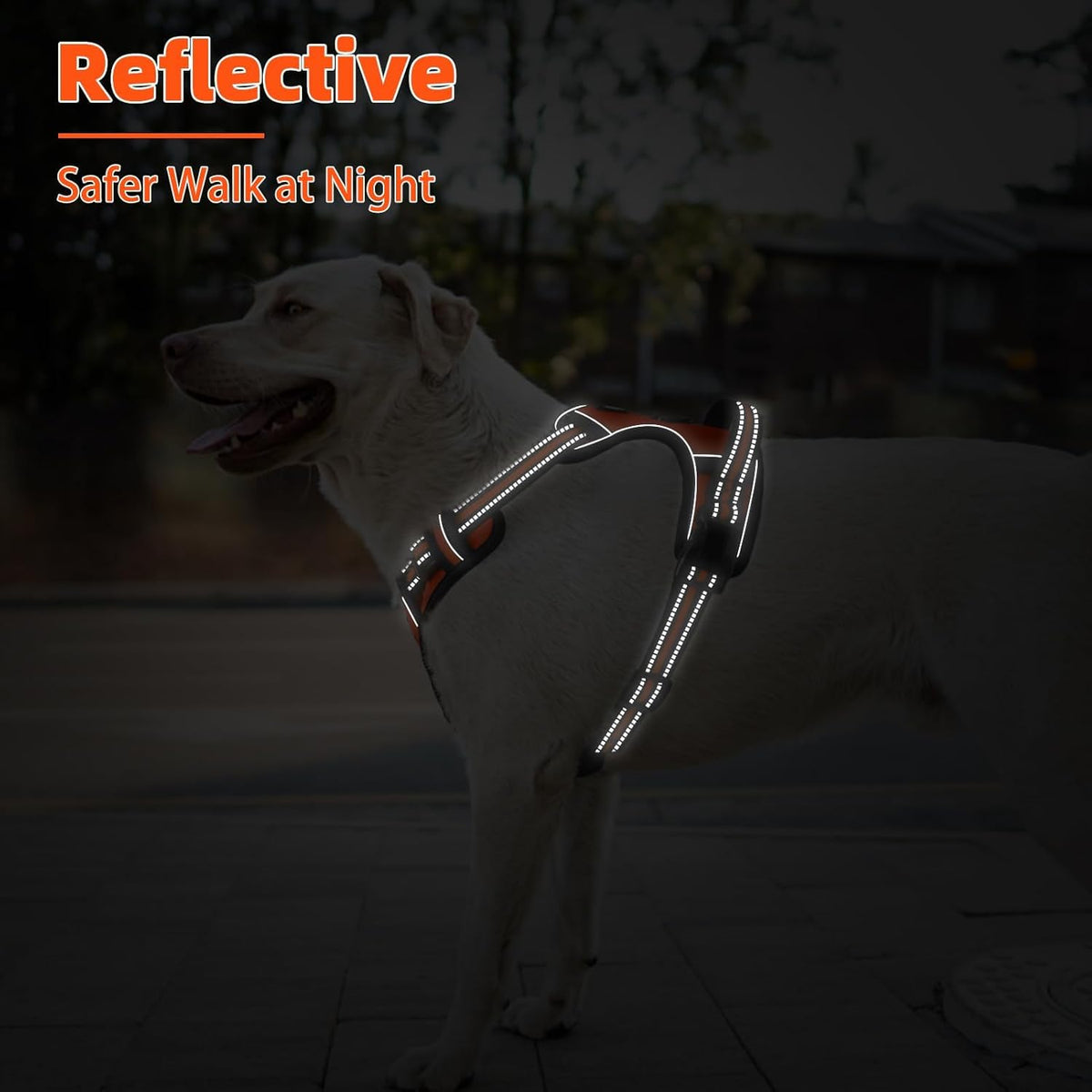 PUPTECK No Pull Dog Harness Small Sized, Adjustable Reflective Dog Harness with Handle Easy