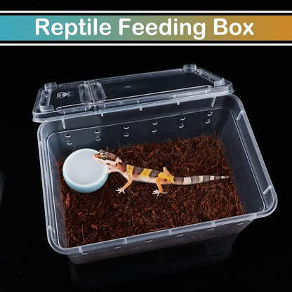 5 Pcs Spider Small Terrariums Breeding Box Transparent Hatching Container Plastic Feeding Box for