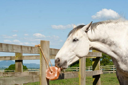 UMAID Himalayan Salt Lick 6 lbs On Rope for Horse, Deer, Goat, and Livestock Animals - Himalayan