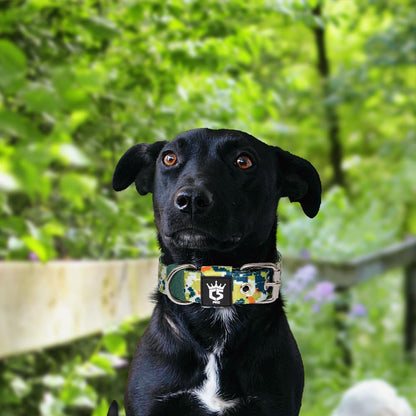 TSPRO Tactical Dog Collar 1.25 Inch Wide Thick Dog Collars with Heavy Duty Metal Buckle, Durable