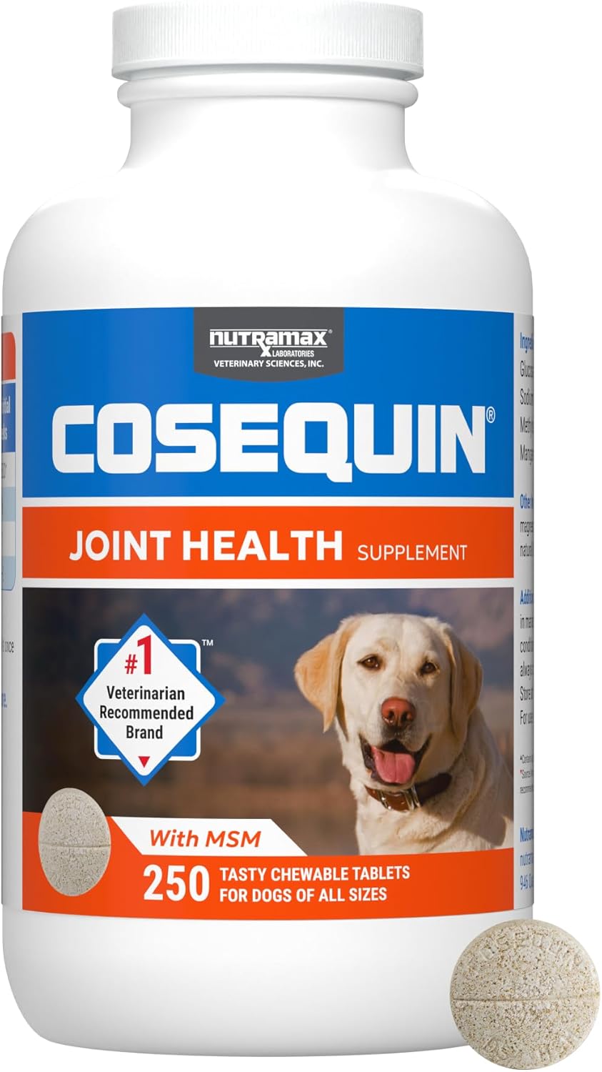 Nutramax Cosequin for Dogs Joint Health Supplement, Contains Glucosamine for Dogs, Plus Chondroitin