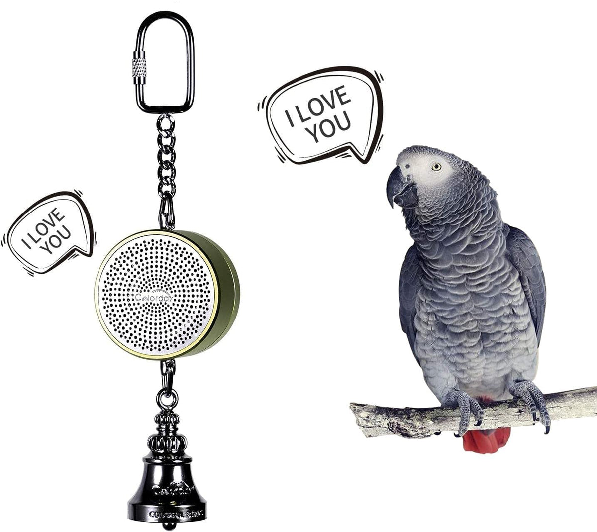 Colorday Bird Toys Parrot Talking Coach & Interactive Voice Bell for Parakeet, African Grey, Amazon