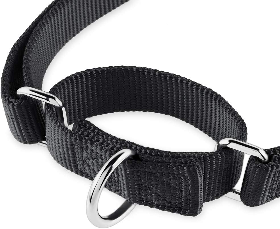 Heavy Duty Anti-Escape Martingale Collar Dog for Large Breeds Dogs - Walking Training Daily