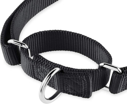 Heavy Duty Anti-Escape Martingale Collar Dog for Large Breeds Dogs - Walking Training Daily