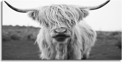 XXMWallArt FC3662 Highland Cow Canvas Art - Black and White Animal Wall Decor for Living Room
