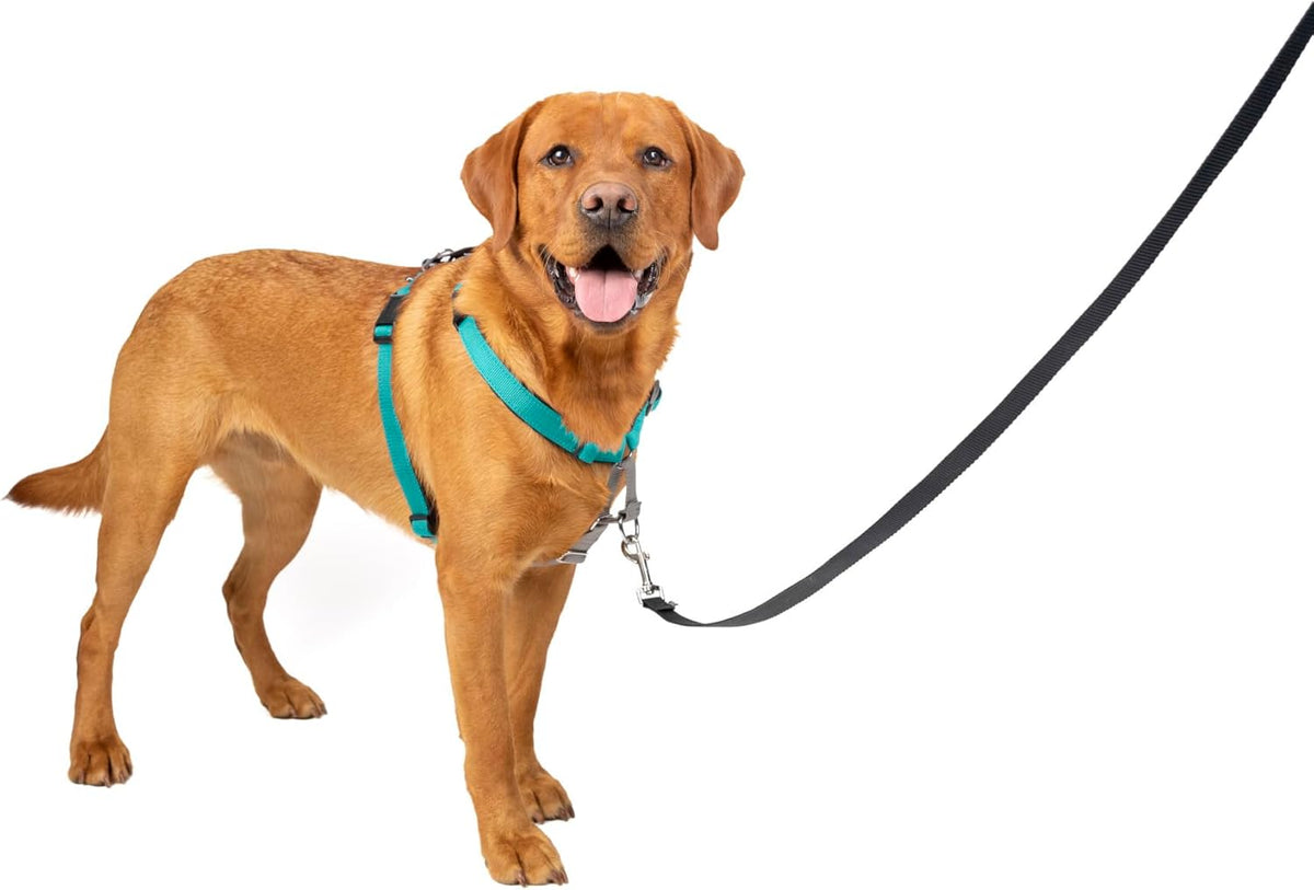 PetSafe 3 in 1 Dog Harness - No Pull Solution for Dogs - Reflective Dog Harness - Front D-Ring Clip