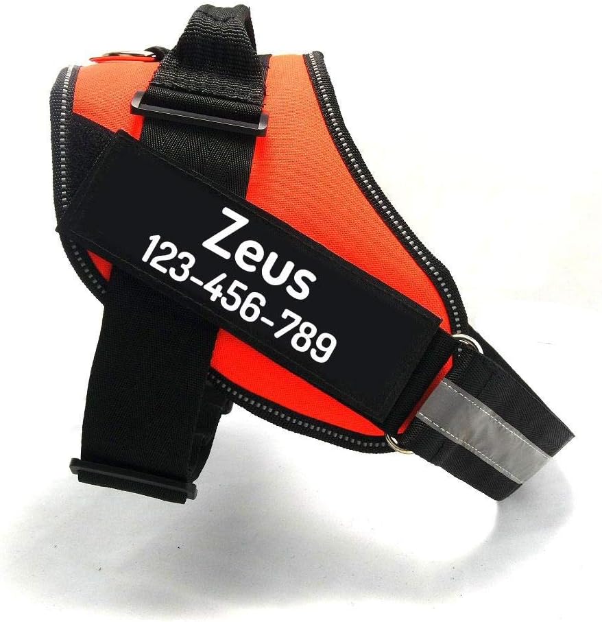 PawPawify Custom No Pull Dog Harness with Name and Phone Number, Heavy Duty Personalized Pet Vest