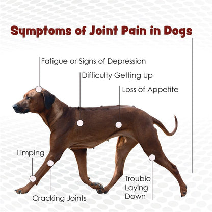 PHS Joint MAX Triple Strength (TS) Chewable Tablets for Dogs - Glucosamine, Chondroitin, MSM