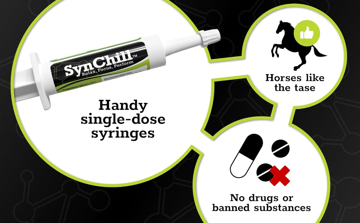 SynChill Oral Horse Calming Gel, 100% Natural & Nutritional Supplement, Lab Proven Results