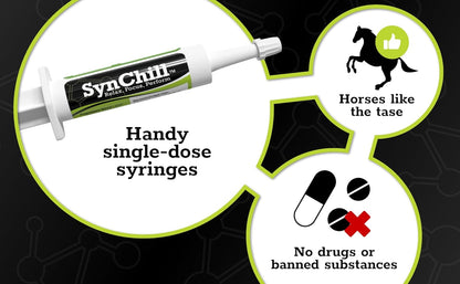 SynChill Oral Horse Calming Gel, 100% Natural & Nutritional Supplement, Lab Proven Results
