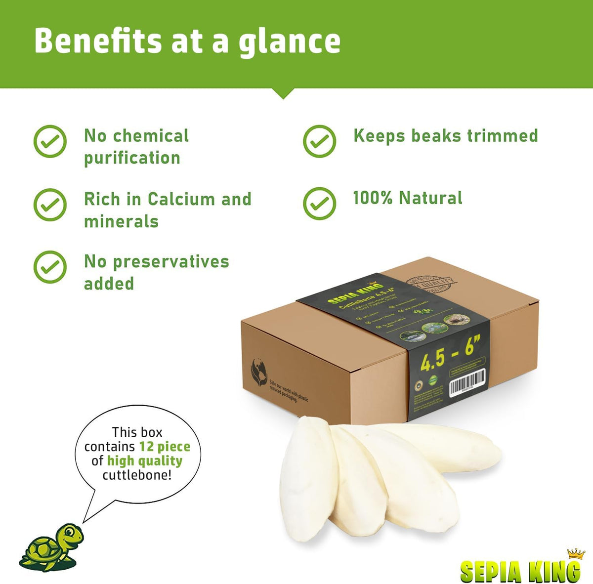Medium - 100% Natural Calcium Supplement - Premium Cuttlebone Perfect for Birds, Tortoises, Snails