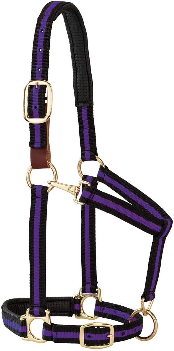 Weaver Equine Breakaway Horse Halter, Comfort Foam Padding, Adjustable Chin & Throat Snap Halters